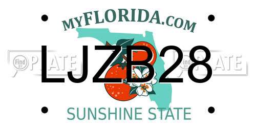 LJZB28 Florida License Plate