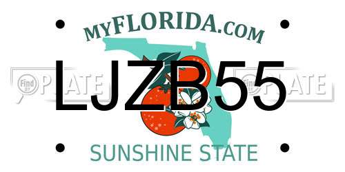 LJZB55 Florida License Plate