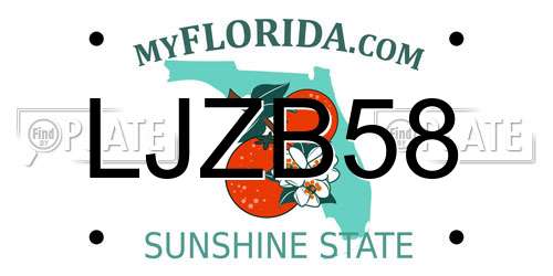 LJZB58 Florida License Plate