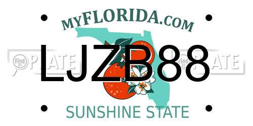 LJZB88 Florida License Plate