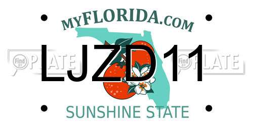 LJZD11 Florida License Plate