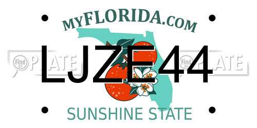 LJZE44 Florida License Plate