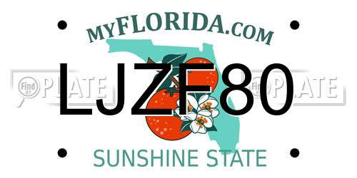 LJZF80 Florida License Plate