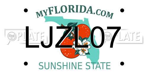 LJZL07 Florida License Plate