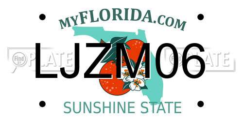 LJZM06 Florida License Plate