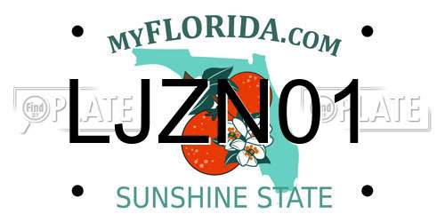 LJZN01 Florida License Plate