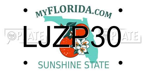 LJZP30 Florida License Plate