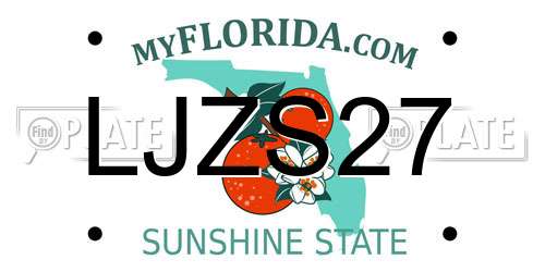 LJZS27 Florida License Plate