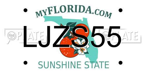 LJZS55 Florida License Plate