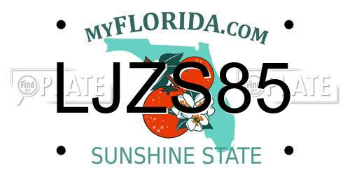 LJZS85 Florida License Plate