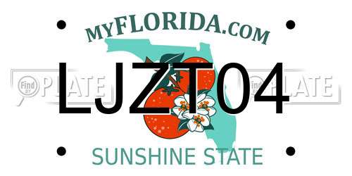 LJZT04 Florida License Plate