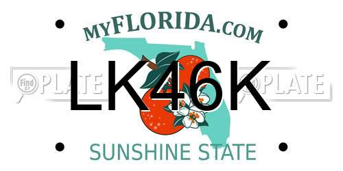 LK46K Florida License Plate