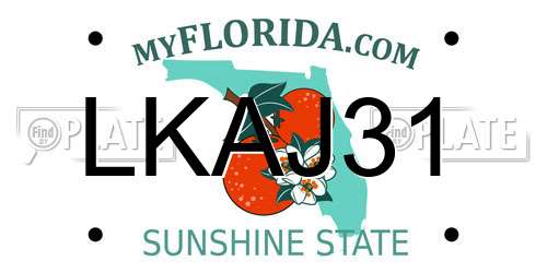 LKAJ31 Florida License Plate