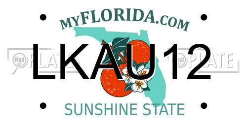 LKAU12 Florida License Plate