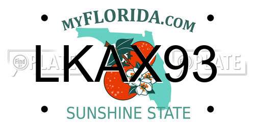LKAX93 Florida License Plate
