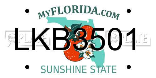 LKB3501 Florida License Plate