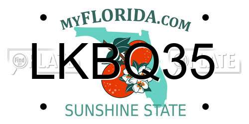 LKBQ35 Florida License Plate