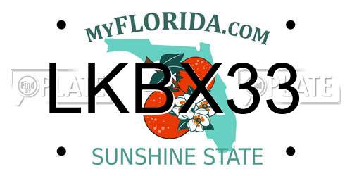 LKBX33 Florida License Plate