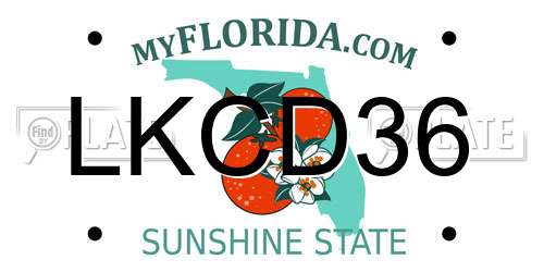 LKCD36 Florida License Plate
