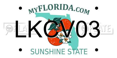 LKCV03 Florida License Plate