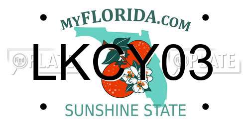 LKCY03 Florida License Plate
