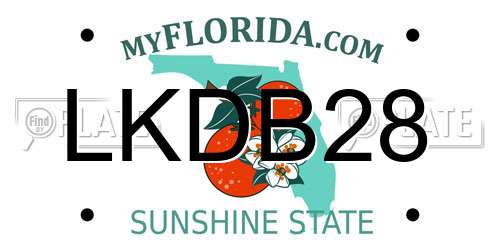 LKDB28 Florida License Plate
