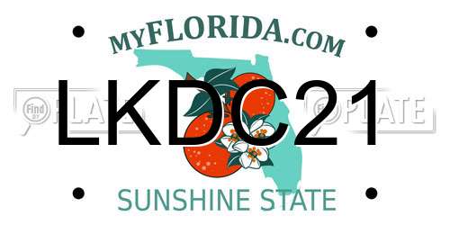 LKDC21 Florida License Plate