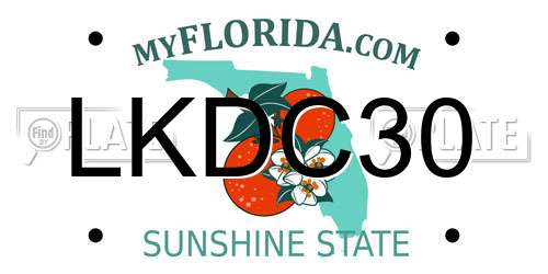 LKDC30 Florida License Plate