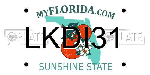 LKDI31 Florida License Plate