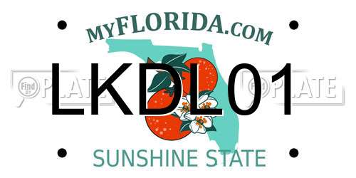 LKDL01 Florida License Plate