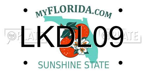 LKDL09 Florida License Plate