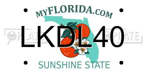 LKDL40 Florida License Plate
