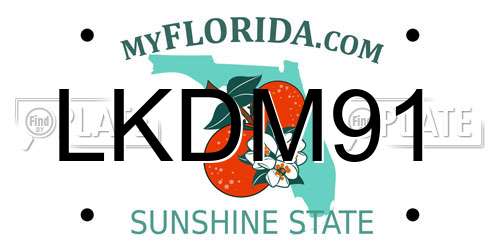 LKDM91 Florida License Plate