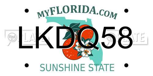 LKDQ58 Florida License Plate