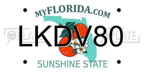LKDV80 Florida License Plate