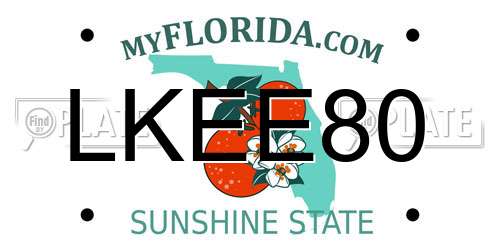 LKEE80 Florida License Plate