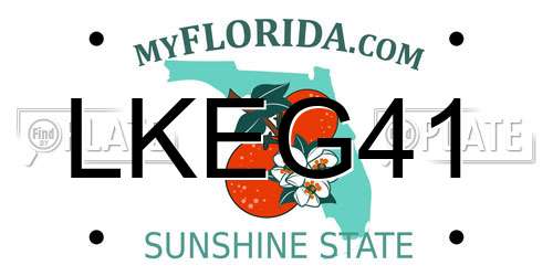 LKEG41 Florida License Plate