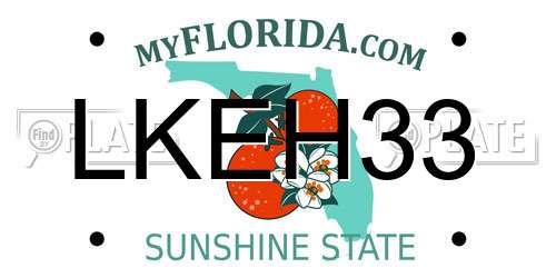 LKEH33 Florida License Plate