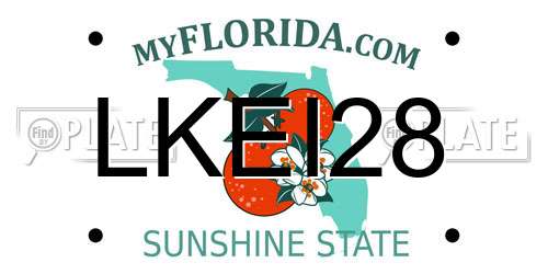 LKEI28 Florida License Plate