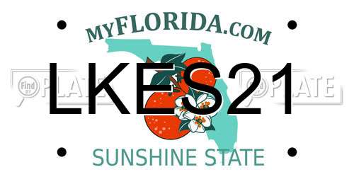 LKES21 Florida License Plate