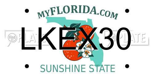 LKEX30 Florida License Plate