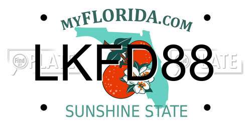 LKFD88 Florida License Plate