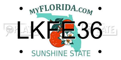 LKFE36 Florida License Plate