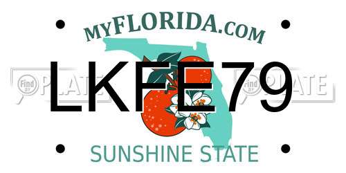 LKFE79 Florida License Plate