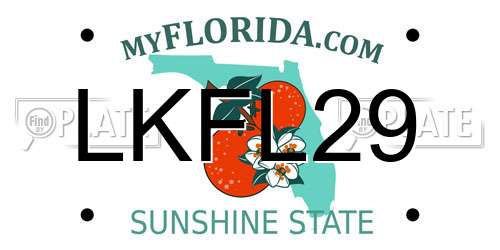 LKFL29 Florida License Plate