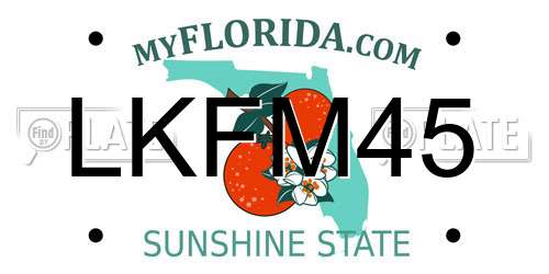 LKFM45 Florida License Plate