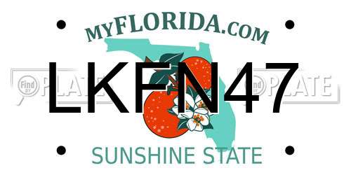LKFN47 Florida License Plate