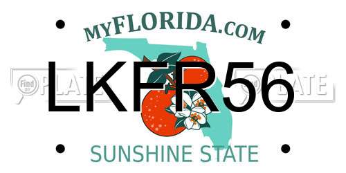 LKFR56 Florida License Plate