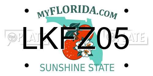 LKFZ05 Florida License Plate