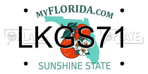 LKGS71 Florida License Plate
